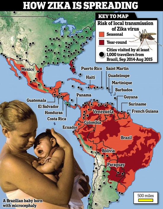 Zika Virus Outbreak Is A Global Public Health Emergency Says Who Tunstallasc 